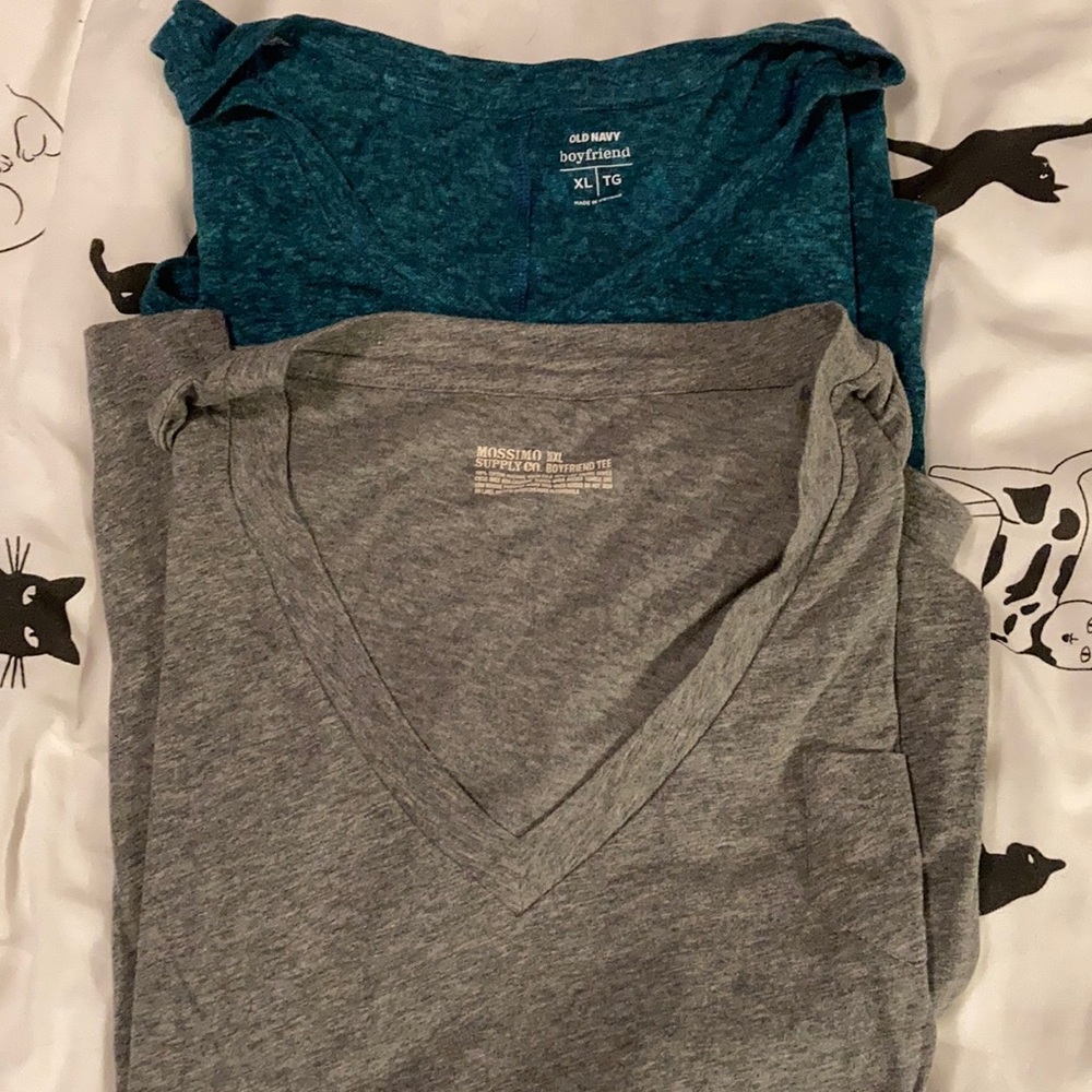 Short sleeve tees! Lot of 2!